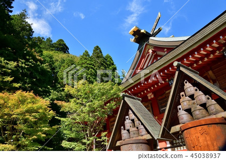 Oyama Akutoshi Shrine 45038937