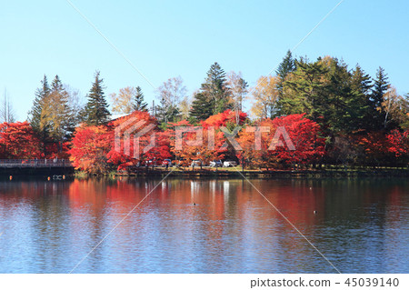 Lake Tateshina Autumn leaves 45039140