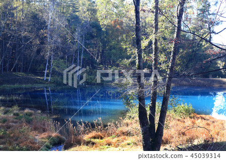 Shobara水庫藍塘 45039314