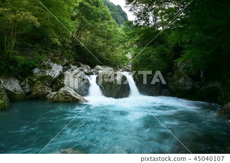 在高知縣西川川郊區岩田谷的山間溪流 在高知縣西川川郊區岩田谷的山間溪流 45040107
