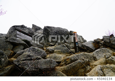 Tsubamesanzan Kanondake 45040134