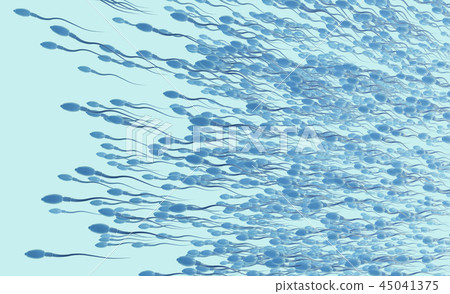 Sperm cells or spermatozoon moving to the left 45041375