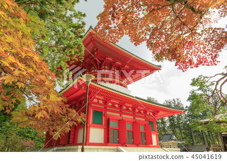 高山秋葉 高山秋葉 45041619