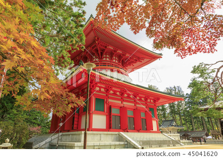 高山秋葉 45041620