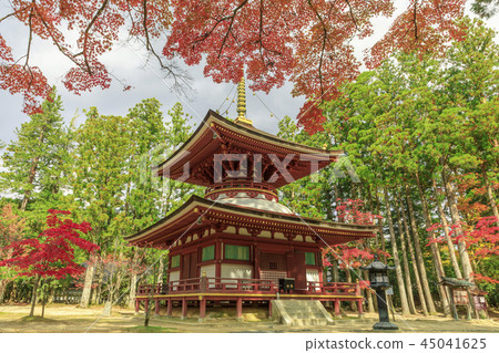 Koyasan autumn leaves Koyasan autumn leaves 45041625