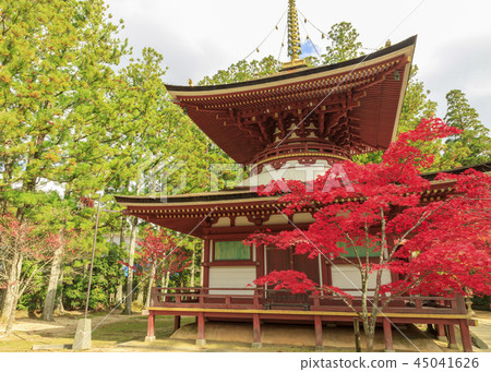 Koyasan autumn leaves Koyasan autumn leaves 45041626
