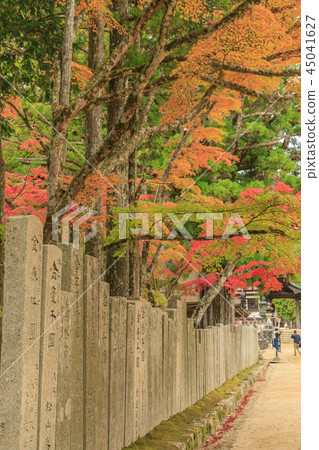 Koyasan autumn leaves Koyasan autumn leaves 45041627