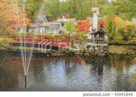 Koyasan autumn leaves 45041648