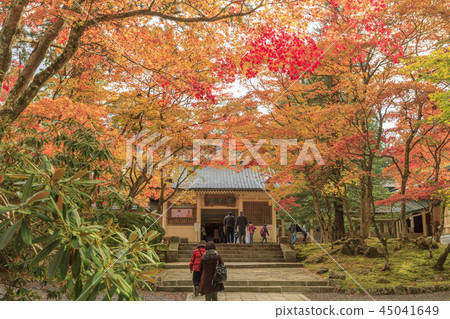 Koyasan autumn leaves 45041649