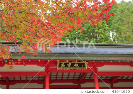 Koyasan autumn leaves 45041650