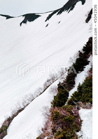 View of snow Japan Alp mountain Tateyama Kurobe 45041936