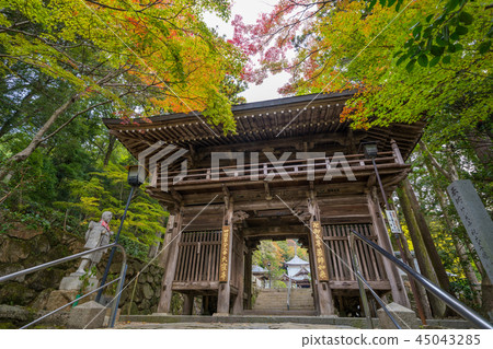 大久保寺的樹著色Shakoku八百名Senka No. 88佛教寺廟 45043285