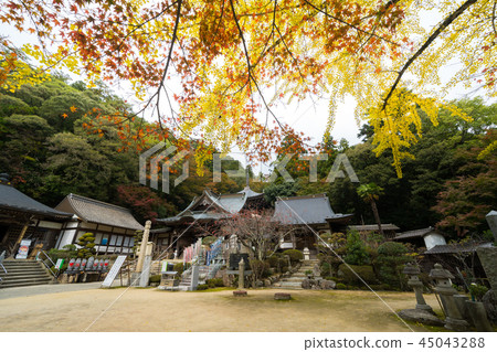 秋葉Okubo-ji寺 45043288