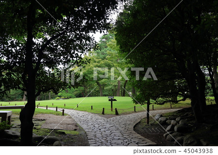 日本花園花園路支路 日本花園花園路支路 45043938