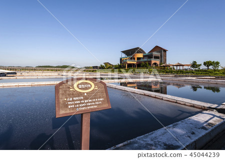 Sora wetland ecological park 45044239