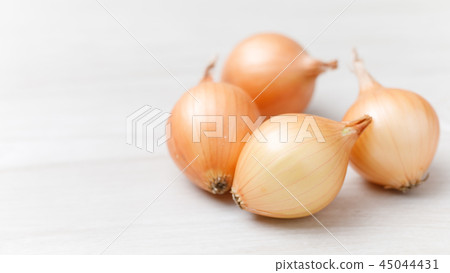 蔬菜小洋蔥品種:Pekolos 16:9 蔬菜小洋蔥品種:Pekolos 16:9 45044431