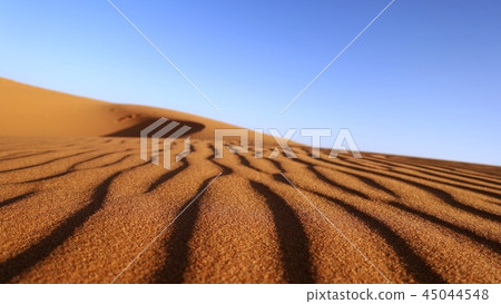 Sahara Desert, Dawn Sand, Africa, Morocco 45044548