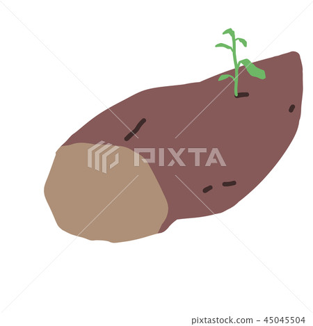 種子粉/種子土豆/甘藷/薩摩年糕 45045504