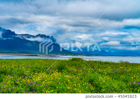 View of the high mountain 45045823