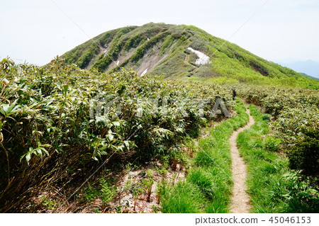 到Nogo Hakusan的山路 到Nogo Hakusan的山路 45046153