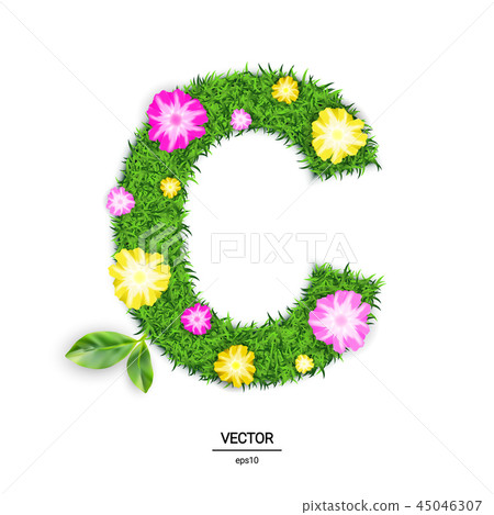 Vector Illustration 45046307