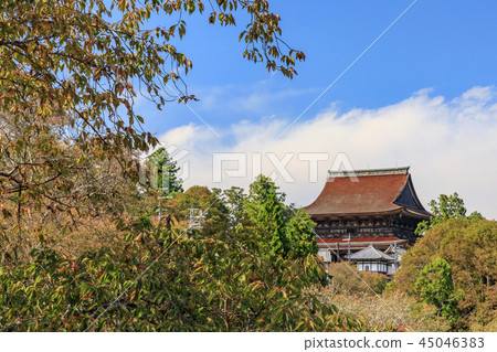 Yoshino-san autumn leaves Yoshino-san autumn leaves 45046383