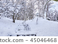 Stairs in winter park covered with snow. 45046468