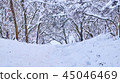Stairs in winter park covered with snow. 45046469