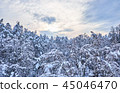 Winter view landscape with trees covered with snow 45046470