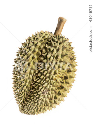 fresh durian fruit on white bakground 45046755