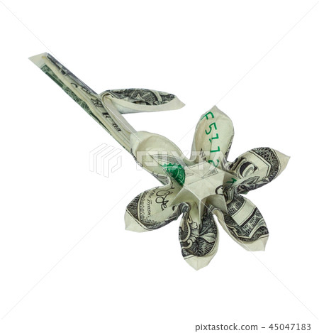 Money Origami Flower Folded Real One Dollar Bill Stock Photo 45047183 Pixta