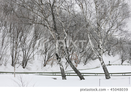 Winter landscape 45048039