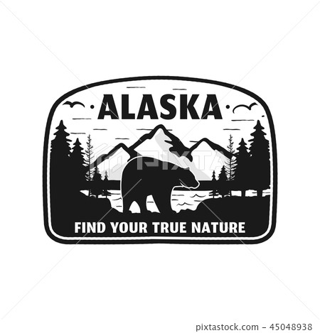 Alaska badge design. Mountain adventure patch. American travel logo. Cute retro style. Find your 45048938