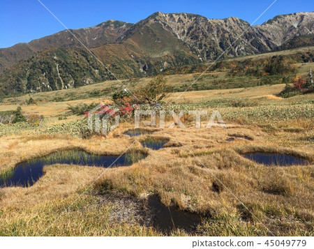 Tateyama Kajigahara的Ikeda-Takiyama田地 45049779