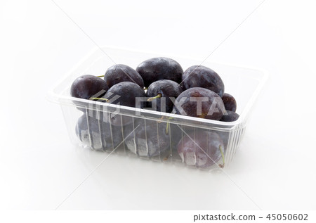 prune prune 45050602