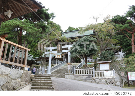 Kinkasan Koganeyama神社，地面（從後面進入神社的石階） 45050772