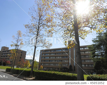 Hiroshima University Faculty of Literature Higashihiroshima Campus Hiroshima University Hiroshima University Faculty of Literature Higashihiroshima Campus Hiroshima University 45051052
