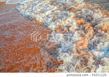 Sea waves on sandy  beach 45051126
