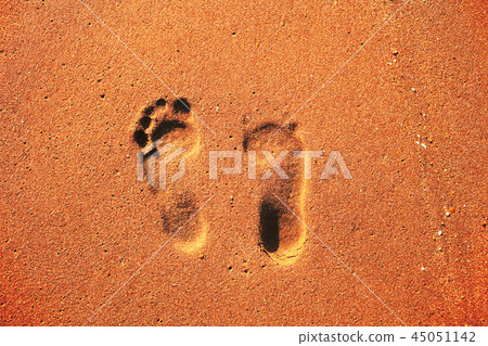 Footprints in the sand 45051142