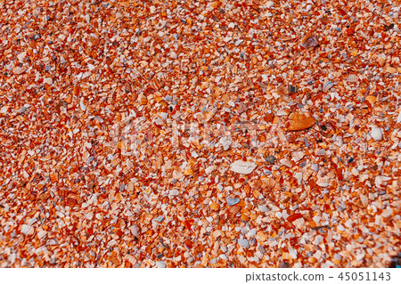 Beach of sea covered with coarse fragments of sea shells 45051143