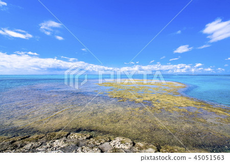 沖繩的海洋後果 沖繩的海洋後果 45051563