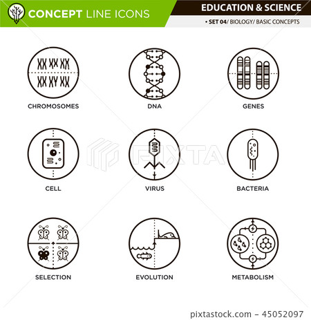 Concept Line Icons Set 4 Biology 45052097