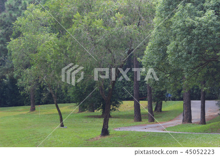 the nature of background at outdoor the nature of background at outdoor 45052223