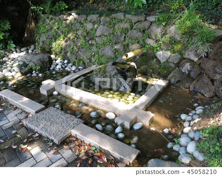 泉水（在Abiko市的Haakeshi途中） 45058210