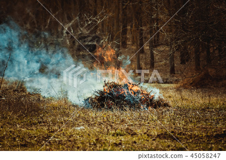 Fire which burned stick and leaves background Fire which burned stick and leaves background 45058247
