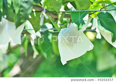 A bag of pear fruits 45058357