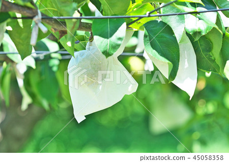 A bag of pear fruits A bag of pear fruits 45058358