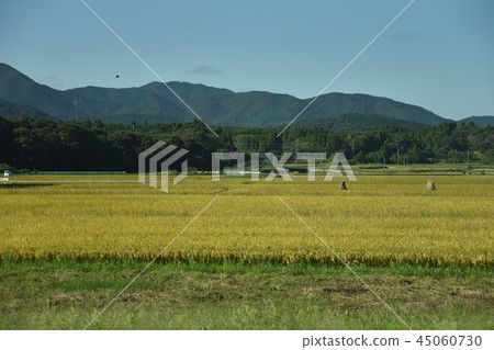 鄉村景觀 45060730