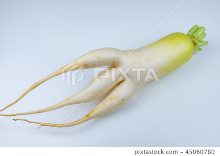 Three crotch daikon radish Three crotch daikon radish 45060780
