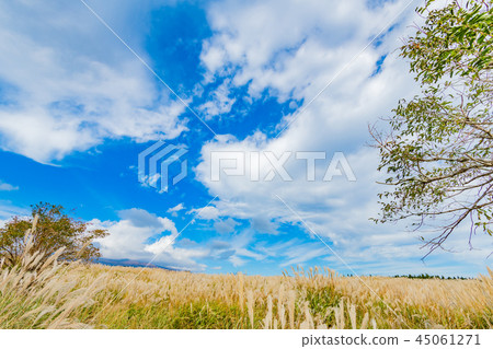 藤野蘇甦的群集 藤野蘇甦的群集 45061271